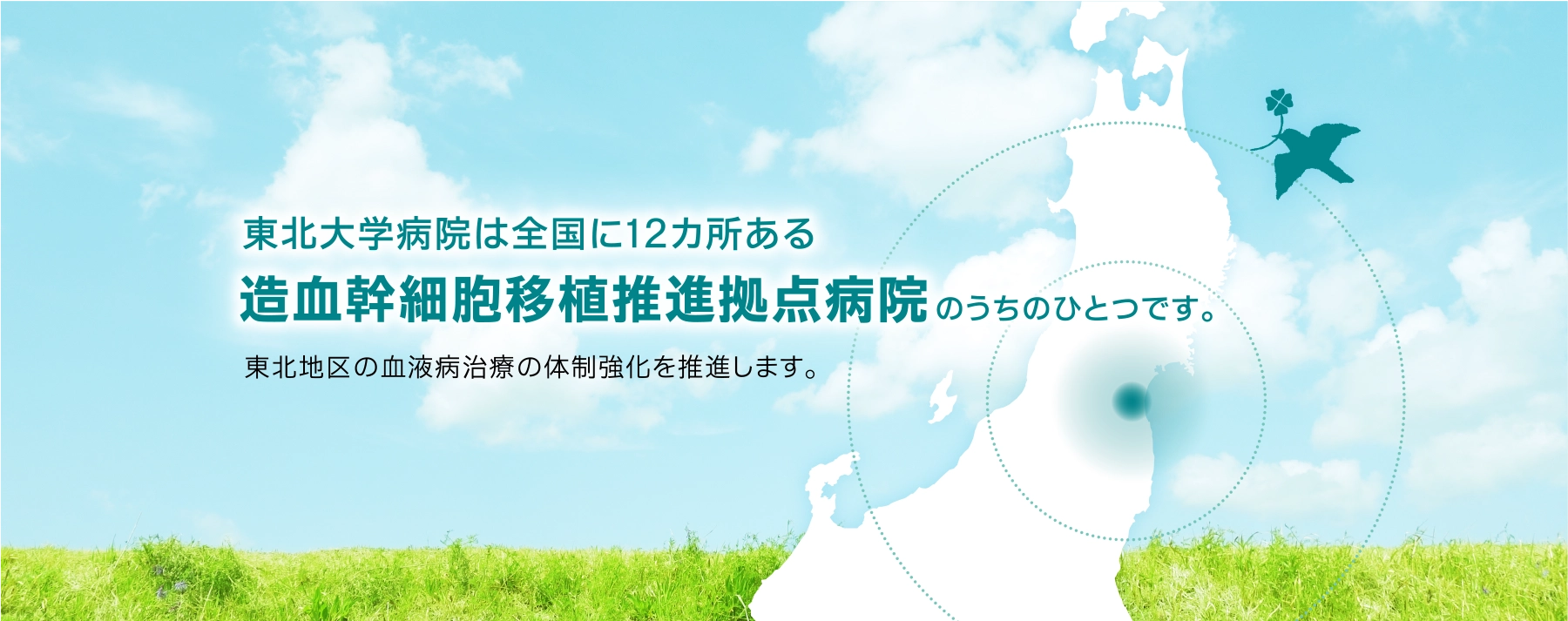 東北大学病院は全国に12ヵ所ある造血幹細胞移植推進拠点病院のうちのひとつです。東北地区の血液病治療の体制強化を推進します。