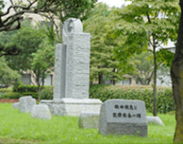 Monument for Critical Care and Medical Safety