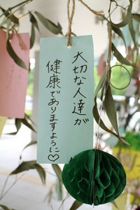 IMG_9682_2