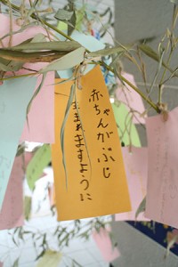 IMG_9688_2