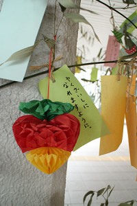 IMG_9689_2