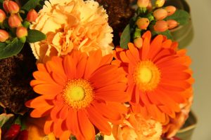 10月のお花 ガーベラ②