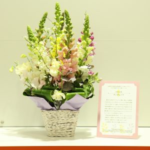 1月のお花 キンギョソウ①