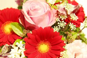 IMG_7670_edited