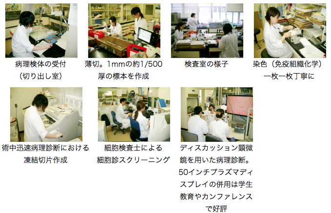 病理部 東北大学病院